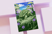 Load image into Gallery viewer, Wildlife of the US Postcards - Connecticut - Eastern Box Turtle