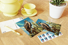 Load image into Gallery viewer, Wildlife of the US Postcards - Iowa - Osprey