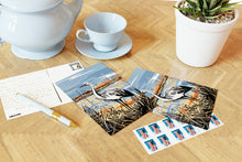 Load image into Gallery viewer, Wildlife of the US Postcards - Indiana - Whooping Crane