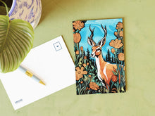 Load image into Gallery viewer, Wildlife of the US Postcards - Montana - Pronghorn