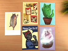 Load image into Gallery viewer, Five Cat Postcards Variety Pack