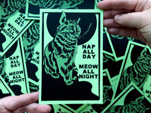 Load image into Gallery viewer, Nap All Day, Meow All Night Postcards
