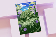 Load image into Gallery viewer, Wildlife of the US Postcards - Connecticut - Eastern Box Turtle
