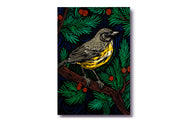 Wildlife of the US Postcards - Michigan - Kirtland's Warbler