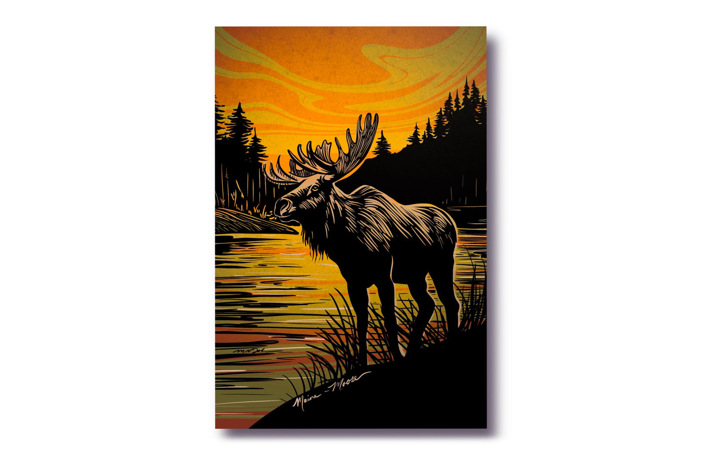 Wildlife of the US Postcards - Maine - Moose