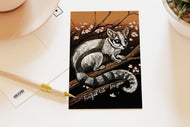 Wildlife of the US Postcards - Arizona - Ring Tail Cat
