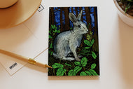 Wildlife of the US Postcards - Pennsylvania - Eastern Cottontail