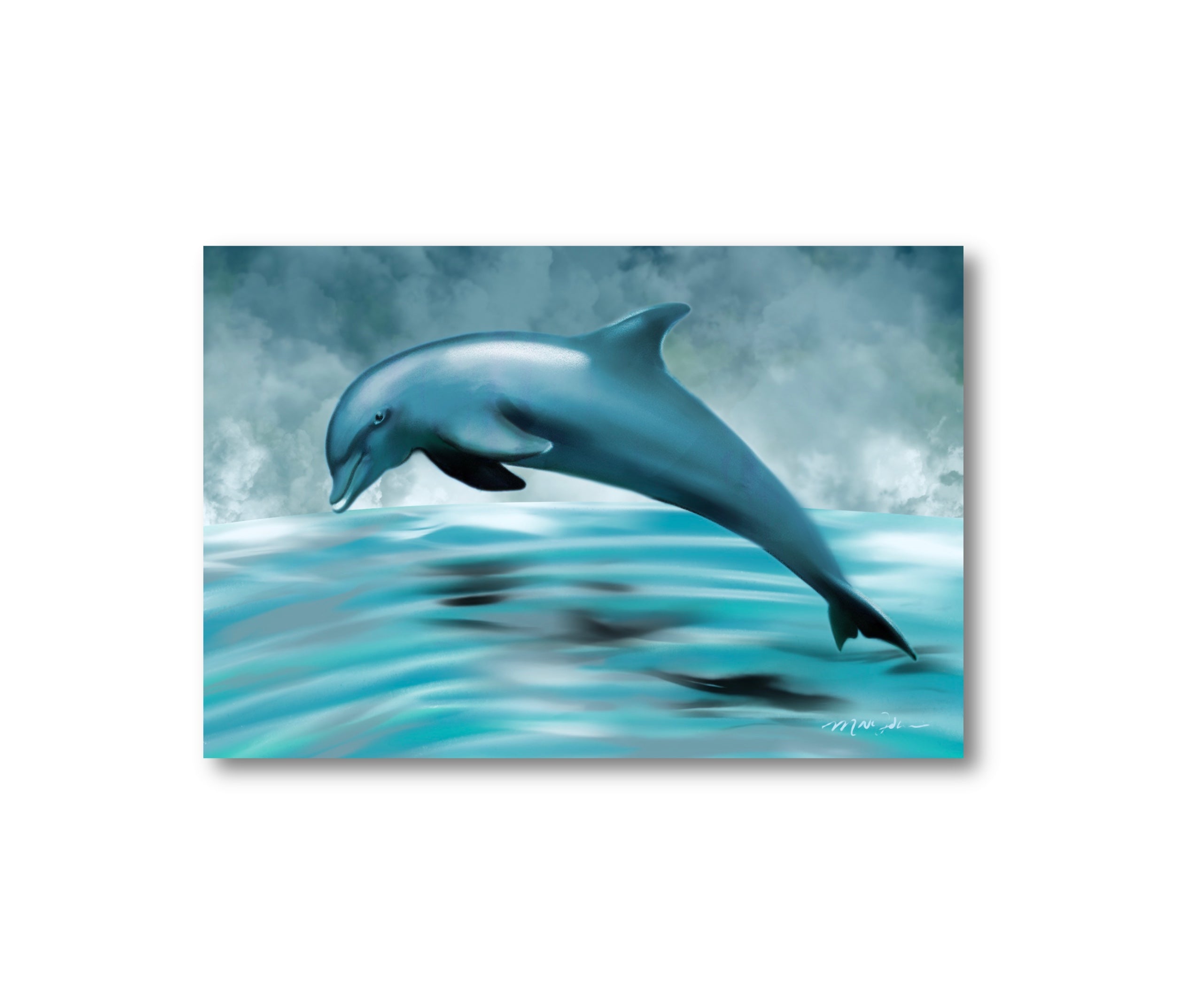Dolphin Postcards - NEW – MN John