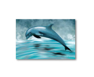 Dolphin Postcards - NEW