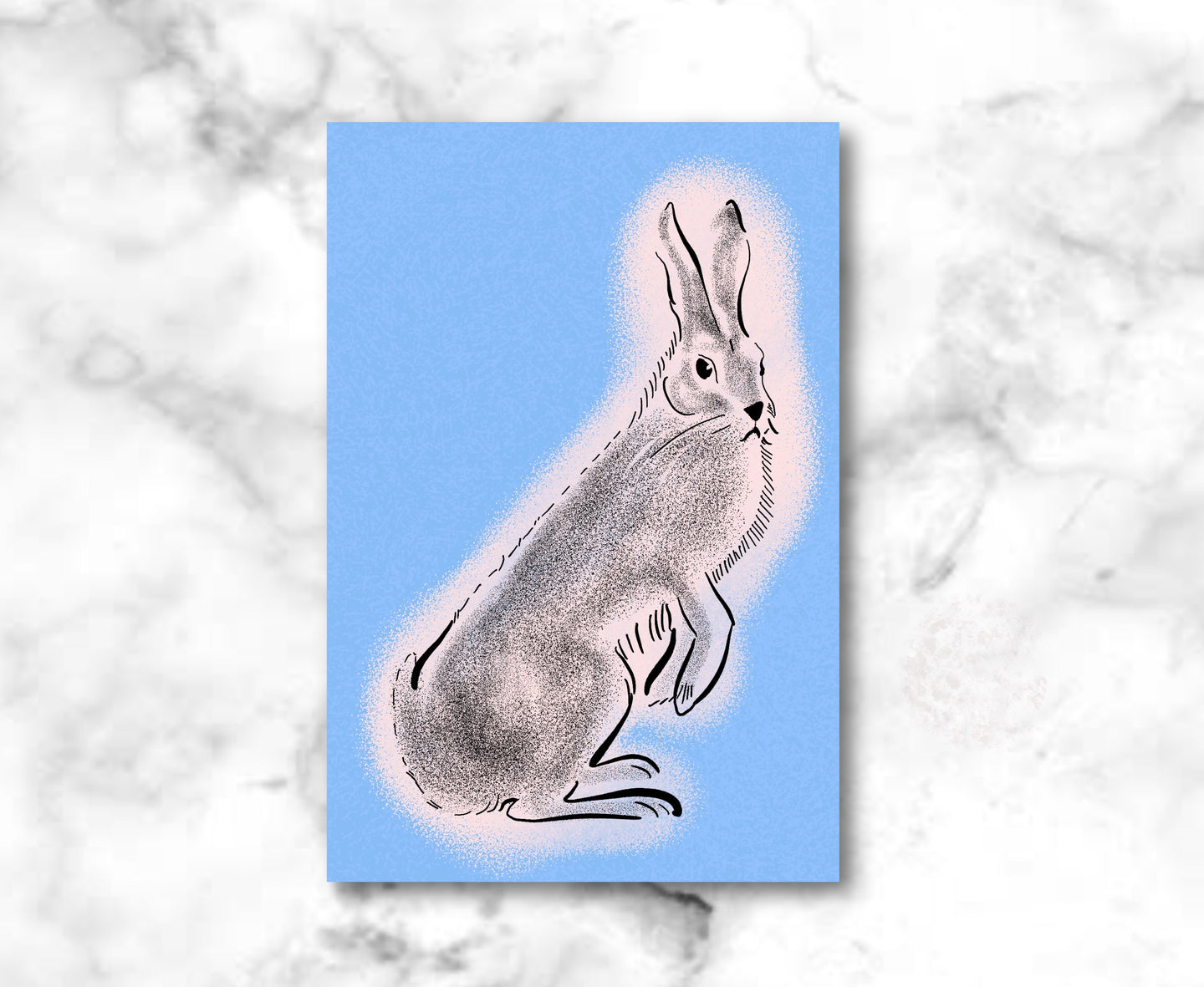 Rabbit Ink Drawing Postcards - NEW