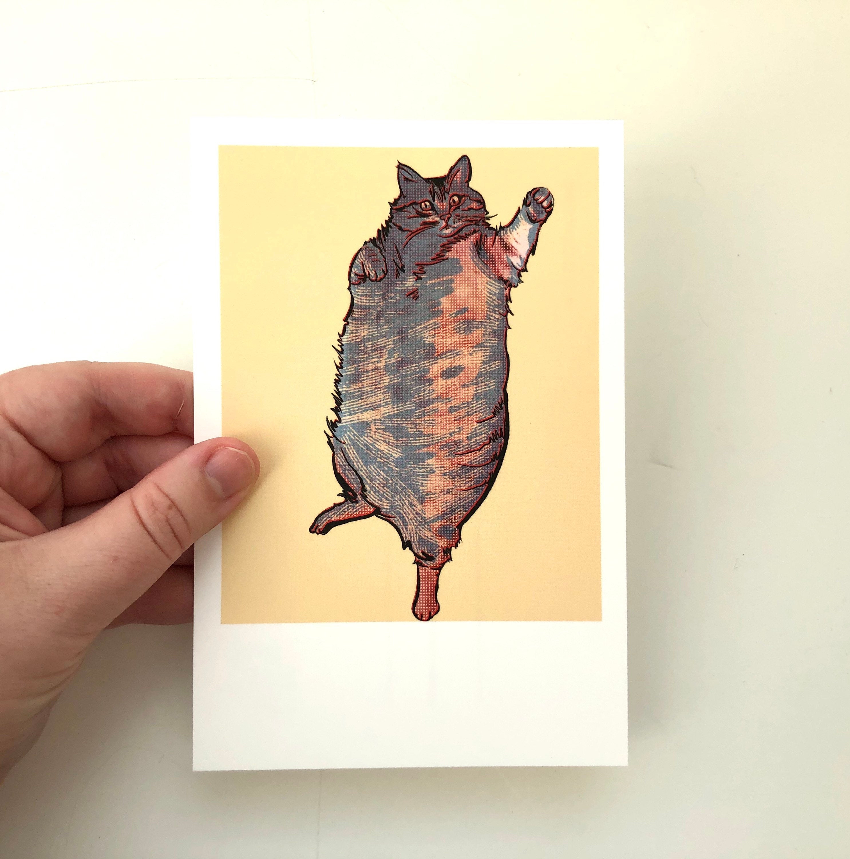 Fat Tabby Kitty Postcards – MN John