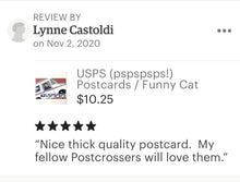 Load image into Gallery viewer, Christmas Cat Postcards / Colorful Nonreligious Holiday Cat Cards for Postcrossing
