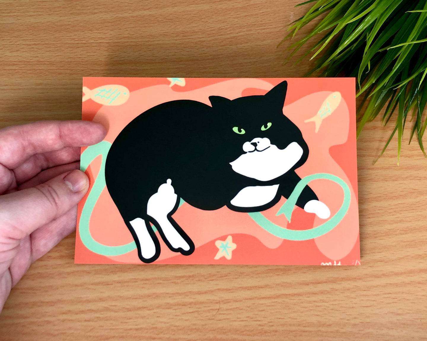 Tuxedo Cat Postcards