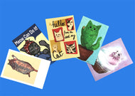 Five Cat Postcards Variety Pack