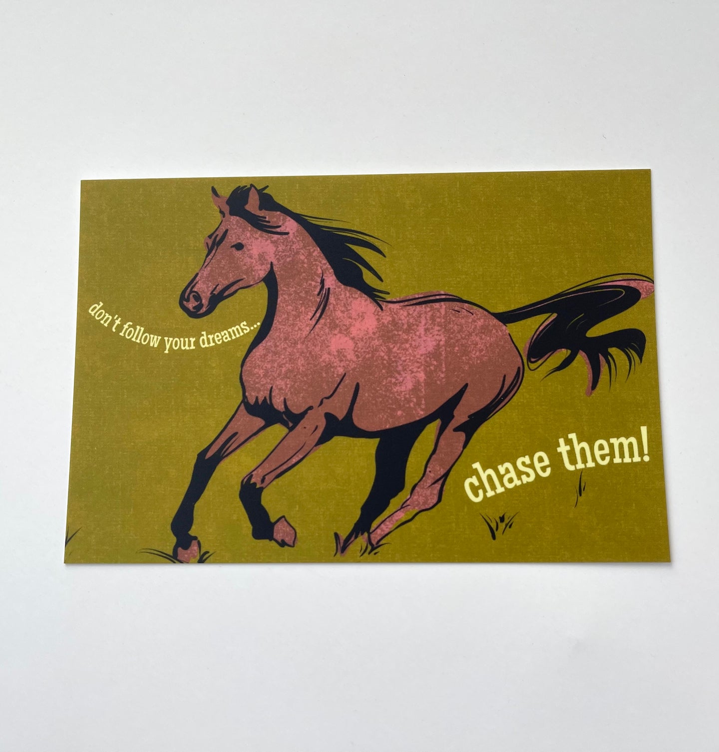 Chase Your Dreams Horse Postcard